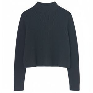 Dress Forum Blue Ribbed Mock Neck Cropped Sweater Dark Academia